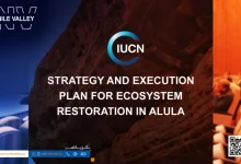 the Ecosystem Strategy in AlUla