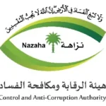 هيئة الرقابة ومكافحة الفساد (نزاهة)